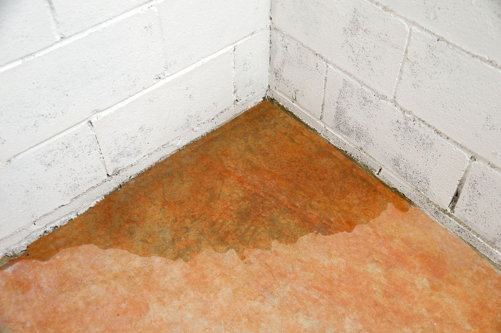 wet floor