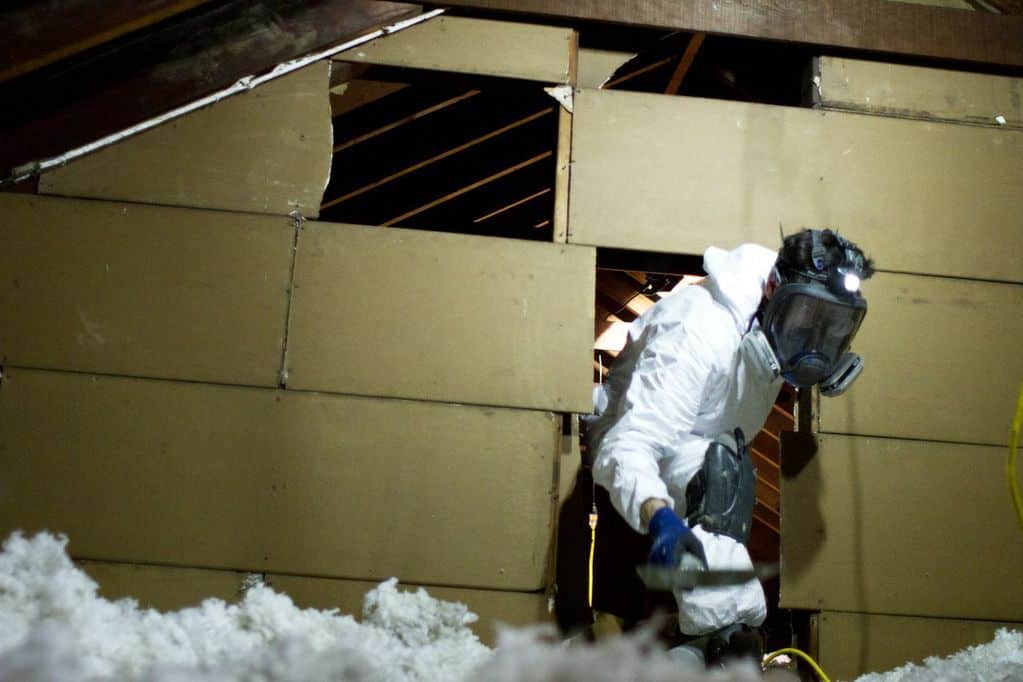 Attic insulation on a multifamily building in Maine Evergreen crew member working in a multifamily building attic during insulation work